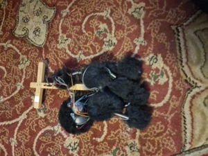 Vintage Un Boxed Pelham Puppet Which Is A Black Poodle - Picture 1 of 9
