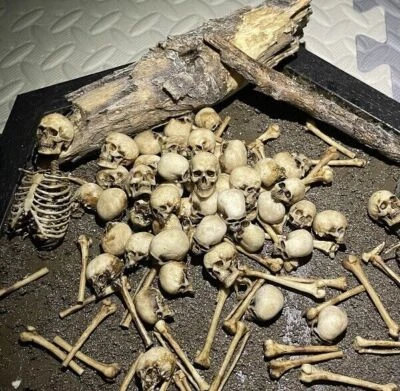 New 1/12 Scale Action Figure Skull Model Human Skeleton Scene Accessory Display - Image 1 of 4