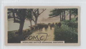 1924 Cavanders The Homeland Series Tobacco Hand-Coloured Small #33