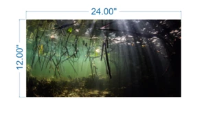 Aquarium Background Underwater Forest - vinyl graphic adhesive AQ0016 - Picture 1 of 8