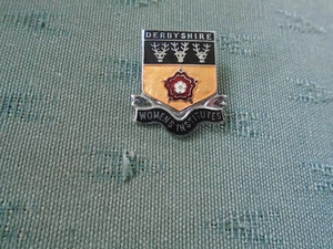 VINTAGE DERBYSHIRE FEDERATION WOMENS INSTITUTE WI - ENAMEL PIN BADGE - Picture 1 of 2