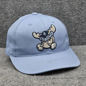 Wilmington Delaware Blue Rocks Minor League Baseball Washington National Hat - Picture 1 of 13