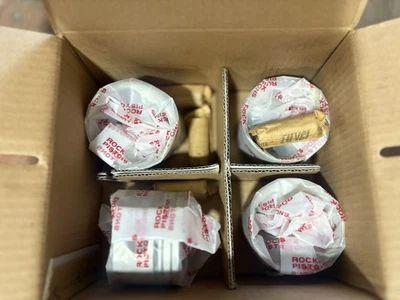 P134STD DNJ/Rock Piston Set- 00-02 Hyundai Accent 1.5 L4 1495cc 12v Foto 1 de 2