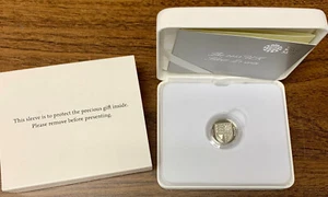 2013 The Royal Mint £1 Sterling Silver Coin - Sheild - Picture 1 of 2