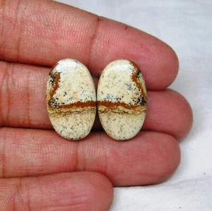 Picture Jasper Gemstone Pair 21.20 ct Natural Loose Gemstone Cabochon E 9062 - Picture 1 of 3