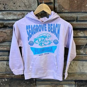 Vintage Havana Seagrove Beach Florida Purple Fleece Hoodie - Picture 1 of 8