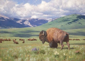 Tucker Smith Return Of Summer - Buffalo Giclee on Canvas - Picture 1 of 1