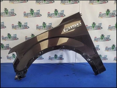 Ford F150 F-150 2018-2020 camioneta conductor guardabarros delantero pintura moldura labio E2 2693 Foto 1 de 4