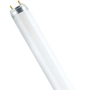 Osram Lumilux T8 Leuchtstoffröhre Lampe L16/840 16W 840 Cool White G13 4000K - Bild 1 von 1