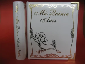 Mis Quince Anos Leather DVD Album - Double DVD Event Case - NEW - Picture 1 of 2