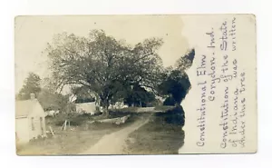 Corydon Indiana, casa, sinuoso camino de tierra por Constitutional Elm, postal RPPC - Imagen 1 de 3