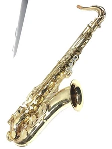 H.SELMER Saxophone SA80 SERIE2 GL W E 【tested Working】SA80 Carved Selmer Used - Picture 1 of 9