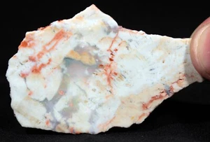 117 ct Precious Opal Wood from White Cliffs Opal Field, Australia - Cretaceous - Picture 1 of 6