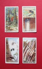 LAMBERT & BUTLER FOUR 1924 ANTIQUE CIGARETTE CARDS  WONDERS OF NATURE 6-20-22-23