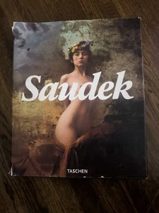 Saudek by Daniela Mrazkova; Paintings; Art Extremely Rare Art Book! - Imagen 1 de 10