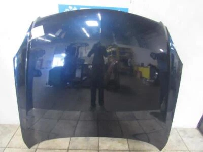 05 06 Campana extractora Infiniti G35 Foto 1 de 3