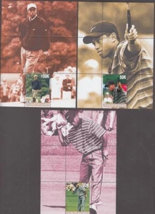 ARTICOLO #4001 - TIGER WOODS su 3 DIVERSE ETICHETTE FOGLIO SOUVENIR dal MYANMAR - Foto 1 di 1