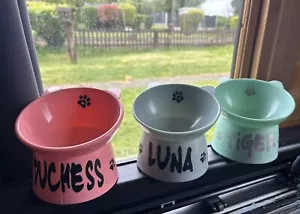 New Raised Cat/Dog Feeding Bowl! Personalised Ideal To Aid Pet Feeding. - Picture 1 of 10