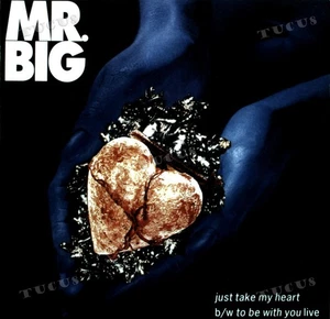 Mr. Big - Just Take My Heart 7in 1991 (VG+/VG+) '* - Picture 1 of 1