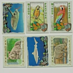 2021 (6) VERSCHIEDENE TOPPS INBUS GINTER TIERE EINSATZKARTEN SP NEUWERTIG HEISS - Bild 1 von 1