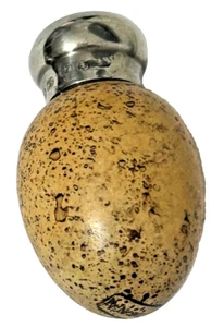 Antique Victorian speckled Birds egg perfume scent bottle novelty - Picture 1 of 6