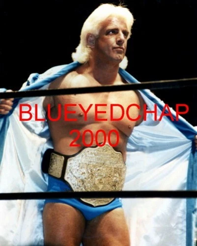 RIC FLAIR WRESTLER 8 X 10 WRESTLING PHOTO NWA WCW WWF - Image 1 of 1
