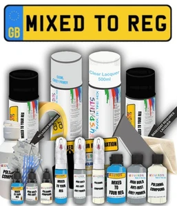 Car Colour Mixed by Registration Paint Spray Touch Up Kit Scratch Any Make - Picture 1 of 98