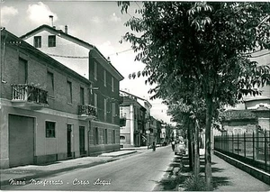 CARTOLINA d'Epoca: ALESSANDRIA - NIZZA MONFERRATO - Picture 1 of 1