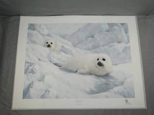 Charles Frace Peace on Ice Limited Edition Signed Baby Harp Seal Lithograph COA - Bild 1 von 15