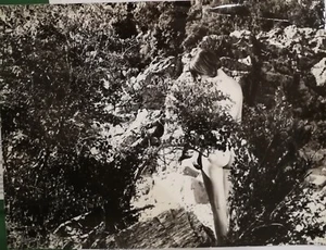Photo Film Sexual Gangstars Nude - Picture 1 of 3