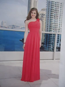 Women Long dress / Bridesmaid / Wedding / Occasion / Maxi - Picture 1 of 5