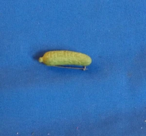 VTG Prob World's Fair Heinz Advertising Pickle Plastic Pin Brooch - Picture 1 of 4