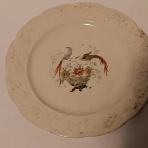 Knowles China Co. 1900 Cremelace 2 Birds pattern Plate, Antique, RARE, Used - Picture 1 of 13