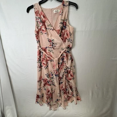 Vestido Eliza J Mujer 14P Cruzado Cuello en V Dobladillo Asimétrico Sin Mangas Forrado Gasa Foto 1 de 4