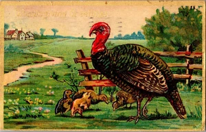 AK Erntedankgrüße Türkei mit Küken geteilter Rücken geprägt - Bild 1 von 2