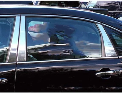 6 piezas. Borde de poste de pilar cromado FX de lujo para Chevrolet Impala 2006-2013 - Limited Foto 1 de 4