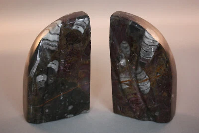 SET OF POLISHED FOSSIL BOOKENDS - Image 1 of 4