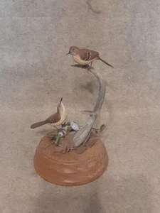 Par de señuelos decorativos tallados pájaros cantores marrón Thrasher pájaro cantor firmado HR Nichol - Imagen 1 de 17