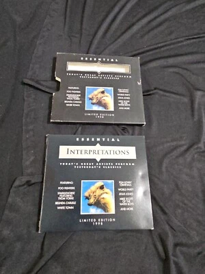 FOO FIGHTERS ESSENTIAL INTERPRETATIONS Yesterday's Classics Limited 2 CD SET  - Image 1 of 3