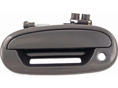 Manija de puerta delantera izquierda Dorman 58196FGGR para Ford F150 Heritage 2004 Foto 1 de 2