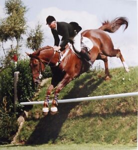 Photo of a horse show jumper jumping England mounted 9.8 x 9 in by Mel Longhurst