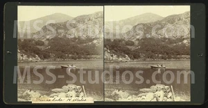 LLYN DINAS Lake, N. Wales (Antique Stereoview Stereoscope) - Picture 1 of 2