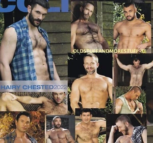 COLT HAIRY CHESTED MEN CALENDAR 2022 - Picture 1 of 1