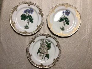 Andrea von Sadek Golden Botanical Curtis Set 3 London Teller 8+" Neu im Karton! IB-1 - Bild 1 von 14