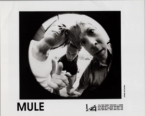 Punk Band "MULE" Vintage ORIGINAL Photo 8x10 - 1990's RARE - Picture 1 of 2