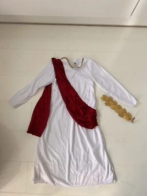 Kids Roman costume Toga Costume Fancy Dress Caesar Age 4-6 years wiseman wisemen - image 1 of 4