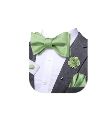  Self Tie Bow Ties and Lapel Pin for Men Paisley Solid Mens Bowtie Sage Greens - Image 1 of 4