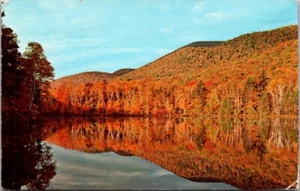 Vermont Fall Foliage Reflecting In Water Postcard Posted - Picture 1 of 2