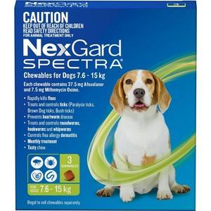 nexgard generic chewable