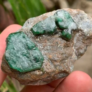 Cristales de esmeralda verde ricos en esquisto y cuarcita con partículas de pirita 83,86 gm - Imagen 1 de 13